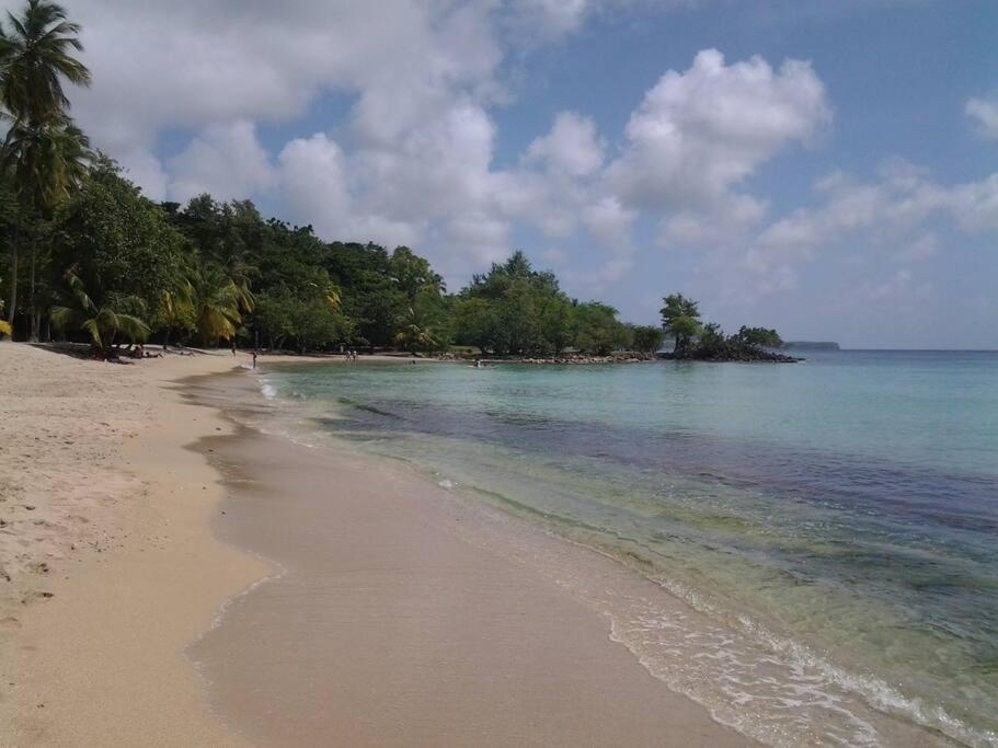 Cabanon En Bord De Plage, Anse Figuier Villa Riviere-Pilote Exterior photo