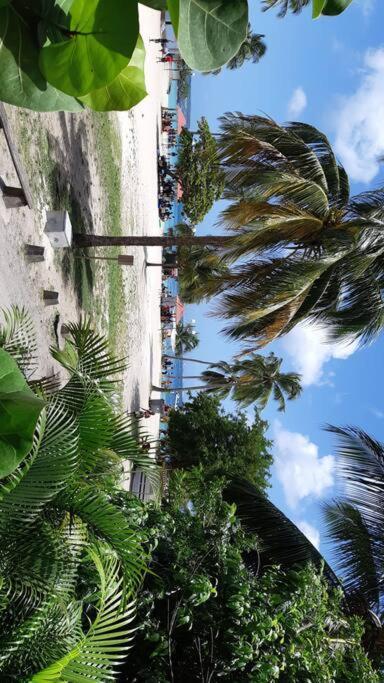 Cabanon En Bord De Plage, Anse Figuier Villa Riviere-Pilote Exterior photo