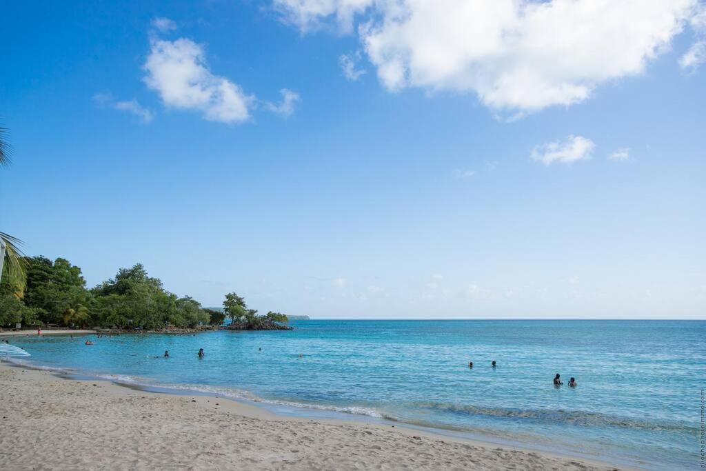 Cabanon En Bord De Plage, Anse Figuier Villa Riviere-Pilote Exterior photo