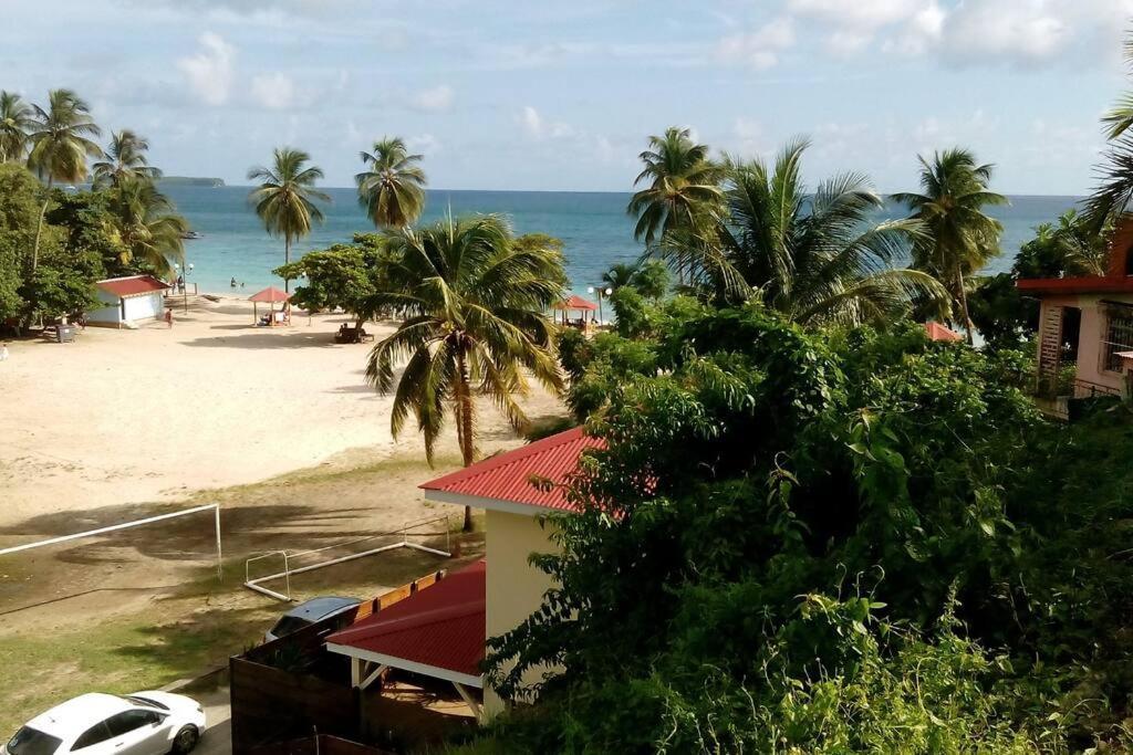 Cabanon En Bord De Plage, Anse Figuier Villa Riviere-Pilote Exterior photo